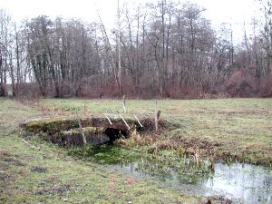 Le petit pont de l'Etang de Mai (C Rolland 2006)