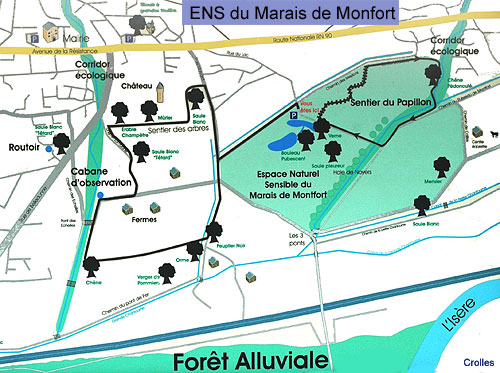 Sentier des arbres et sentier du papillon  Montfort (Crolles)