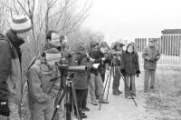 Sortie organise par le Centre Ornithologique