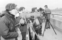 Sortie organise par le Centre Ornithologique