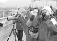 Sortie organise par le Centre Ornithologique