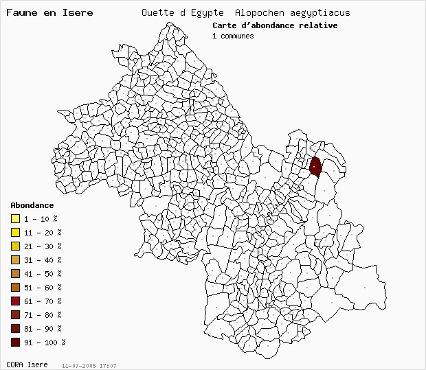 Carte Abondance: Ouette d Egypte Alopochen aegyptiacus en Isre