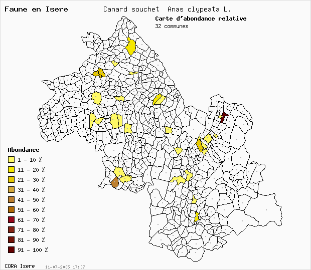 Carte Abondance: Canard souchet Anas clypeata L. en Isre