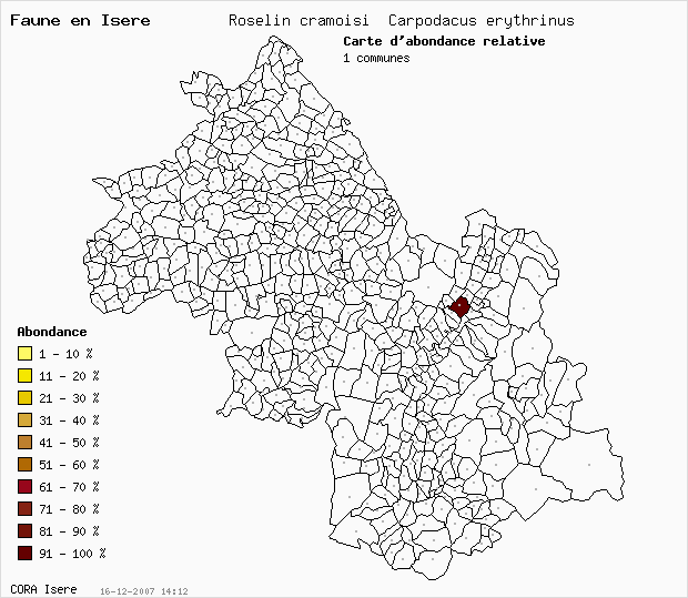 Carte Abondance: Roselin cramoisi Carpodacus erythrinus en Isre