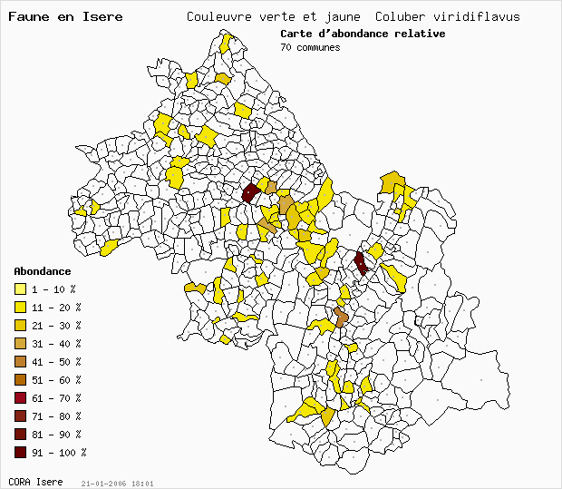 Carte Abondance: Couleuvre verte et jaune Coluber viridiflavus en Isre