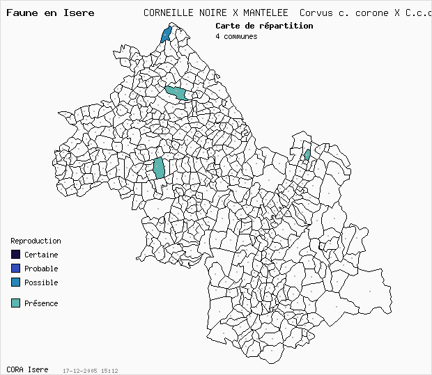 Carte Nidification: CORNEILLE NOIRE X MANTELEE Corvus c. corone X C.c.cornix en Isre