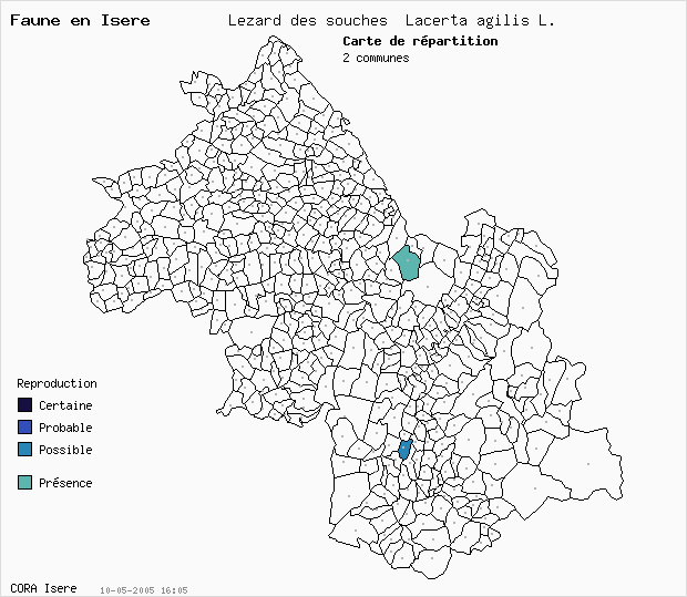 Carte Nidification: Lzard des souches Lacerta agilis L. en Isre
