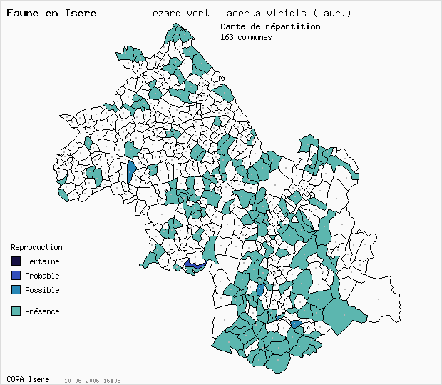 Carte Nidification: Lzard vert Lacerta viridis (Laur.) en Isre