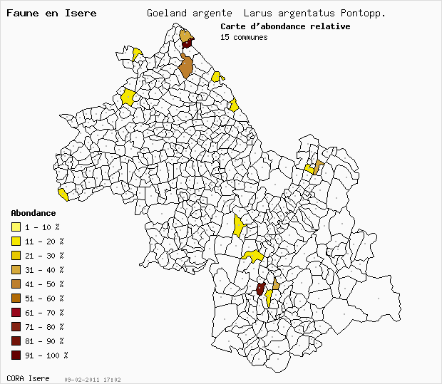 Carte Abondance: Goland argent Larus argentatus Pontopp. en Isre