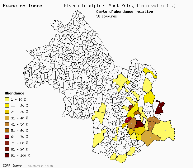 Carte Abondance: Niverolle alpine Montifringilla nivalis (L.) en Isre