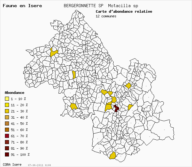 Carte Abondance: BERGERONNETTE SP Motacilla sp en Isre