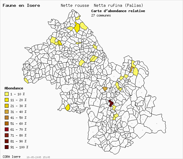 Carte Abondance: Nette rousse Netta rufina (Pallas) en Isre