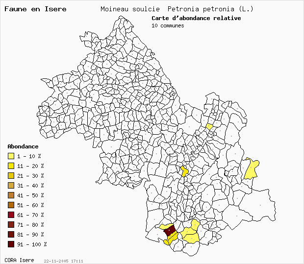 Carte Abondance: Moineau soulcie Petronia petronia (L.) en Isre