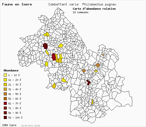 Carte Abondance: Combattant vari Philomachus pugnax en Isre