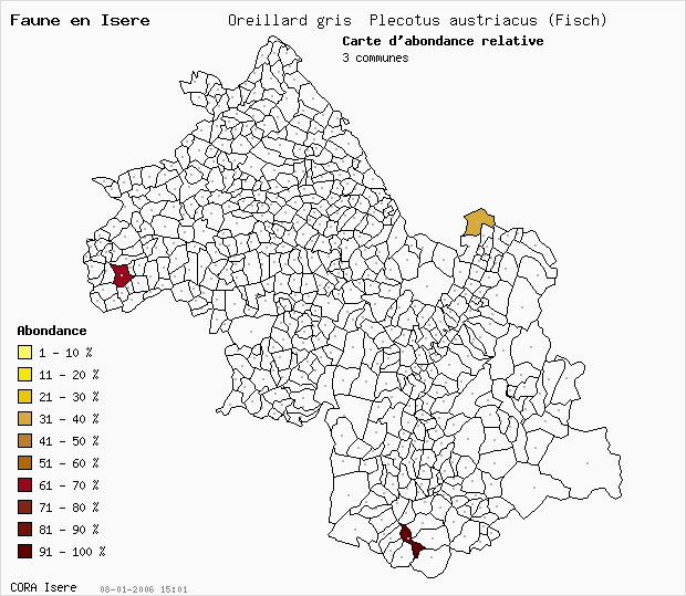 Carte Abondance: Oreillard gris Plecotus austriacus (Fisch) en Isre