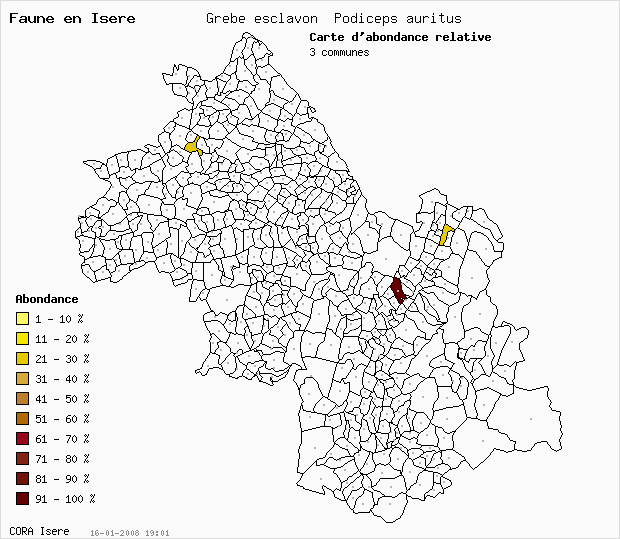 Carte Abondance: Grbe esclavon Podiceps auritus en Isre