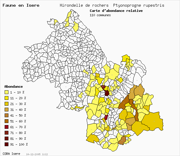 Carte Abondance: Hirondelle de rochers Ptyonoprogne rupestris en Isre