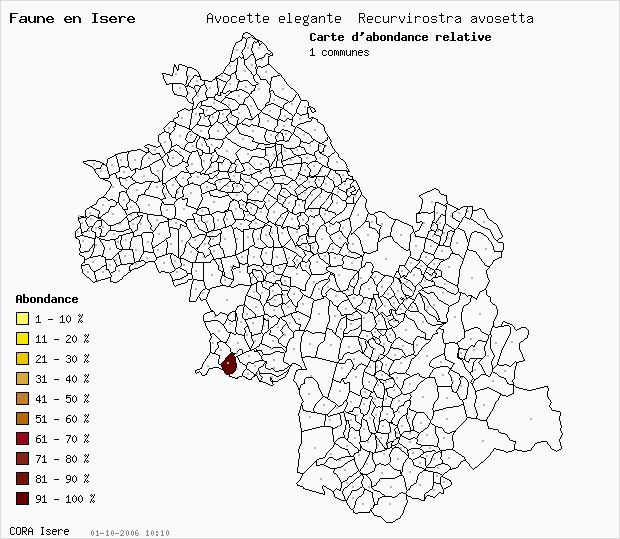 Carte Abondance: Avocette lgante Recurvirostra avosetta en Isre