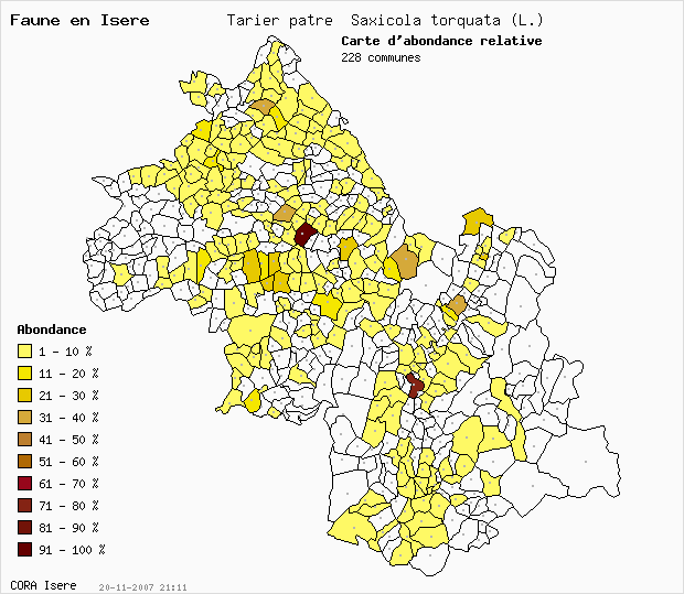Carte Abondance: Tarier ptre Saxicola torquata (L.) en Isre