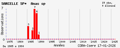 Evolution annuelle des observations de SARCELLE SP* Anas sp