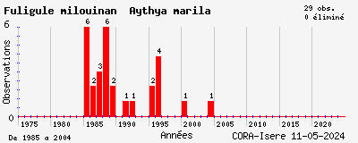 Evolution annuelle des observations de Fuligule milouinan Aythya marila