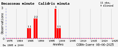 Evolution annuelle des observations de Bécasseau minute Calidris minuta