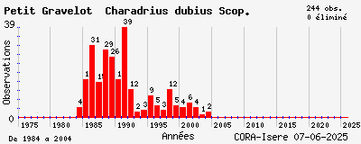 Evolution annuelle des observations de Petit Gravelot Charadrius dubius Scop.