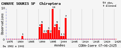 Evolution annuelle des observations de CHAUVE SOURIS SP Chiroptera