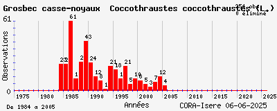 Evolution annuelle des observations de Grosbec casse-noyaux Coccothraustes coccothraustes (L.)