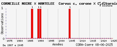 Evolution annuelle des observations de CORNEILLE NOIRE X MANTELEE Corvus c. corone X C.c.cornix
