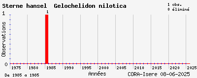 Evolution annuelle des observations de Sterne hansel Gelochelidon nilotica