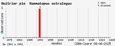 Evolution annuelle des observations de Huîtrier pie Haematopus ostralegus