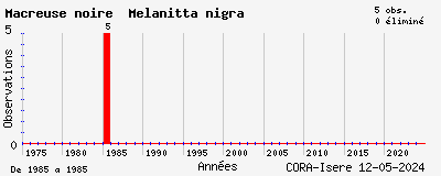 Evolution annuelle des observations de Macreuse noire Melanitta nigra