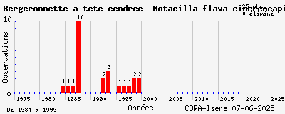 Evolution annuelle des observations de Bergeronnette à tête cendrée Motacilla flava cinereocapilla