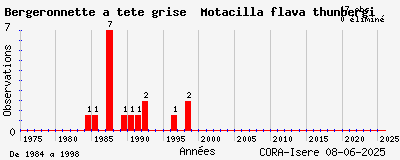 Evolution annuelle des observations de Bergeronnette à tête grise Motacilla flava thunbergi