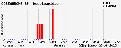 Evolution annuelle des observations de GOBEMOUCHE SP Muscicapidae