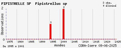 Evolution annuelle des observations de PIPISTRELLE SP Pipistrellus sp