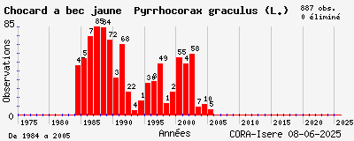 Evolution annuelle des observations de Chocard à bec jaune Pyrrhocorax graculus (L.)