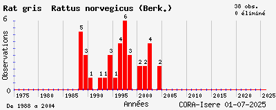 Evolution annuelle des observations de Rat gris Rattus norvegicus (Berk.)