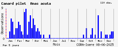 Observations saisonnires (par 5 jours) de Canard pilet Anas acuta