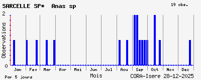 Observations saisonni�res (par 5 jours) de SARCELLE SP* Anas sp