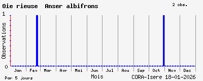Observations saisonni�res (par 5 jours) de Oie rieuse Anser albifrons
