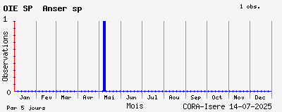 Observations saisonnires (par 5 jours) de OIE SP Anser sp