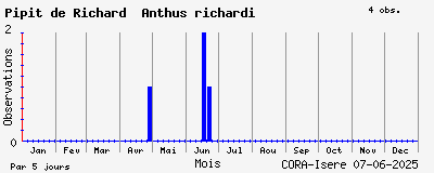 Observations saisonnires (par 5 jours) de Pipit de Richard Anthus richardi