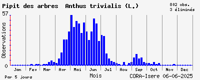 Observations saisonnires (par 5 jours) de Pipit des arbres Anthus trivialis (L.)