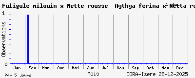 Observations saisonni�res (par 5 jours) de Fuligule milouin x Nette rousse Aythya ferina x Netta rufina