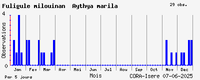 Observations saisonnires (par 5 jours) de Fuligule milouinan Aythya marila