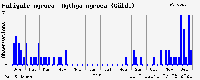 Observations saisonnires (par 5 jours) de Fuligule nyroca Aythya nyroca (Gld.)