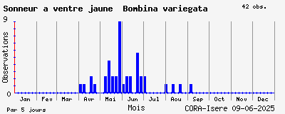 Observations saisonnires (par 5 jours) de Sonneur à ventre jaune Bombina variegata