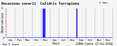 Observations saisonni�res (par 5 jours) de B&eacute;casseau cocorli Calidris ferruginea
